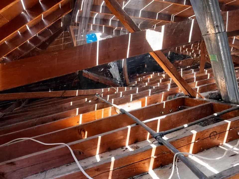 Attic joists after old insulation was removed